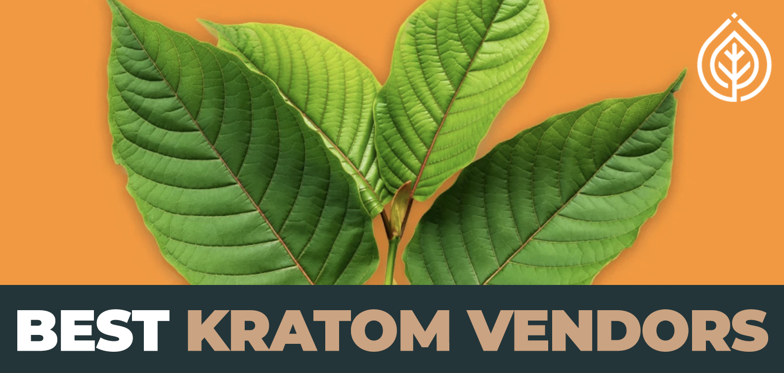 Best Kratom Vendors What The Industry Has To Offer Puffs & Potions